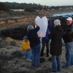 Cambria_0285 (November 02, 2013)